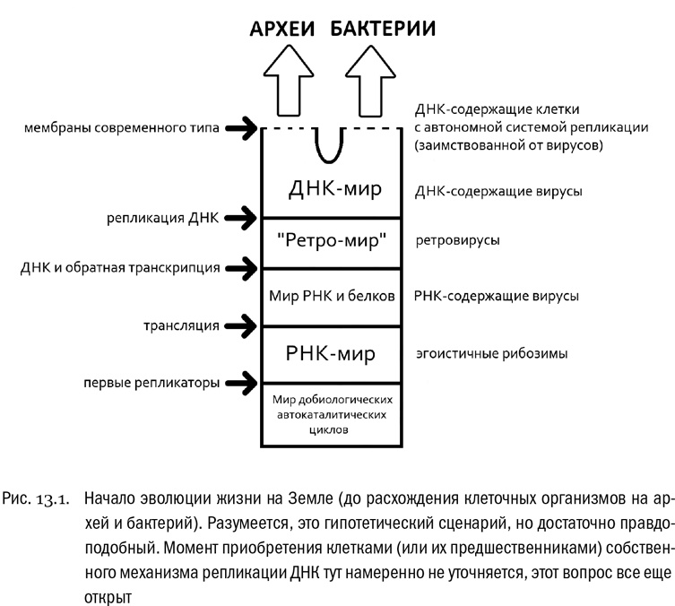 Иллюстрация к книге — От атомов к древу. Введение в современную науку о жизни [img_78.jpg]