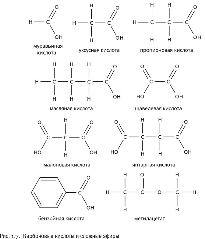 Иллюстрация к книге — От атомов к древу. Введение в современную науку о жизни [img_8.jpg]