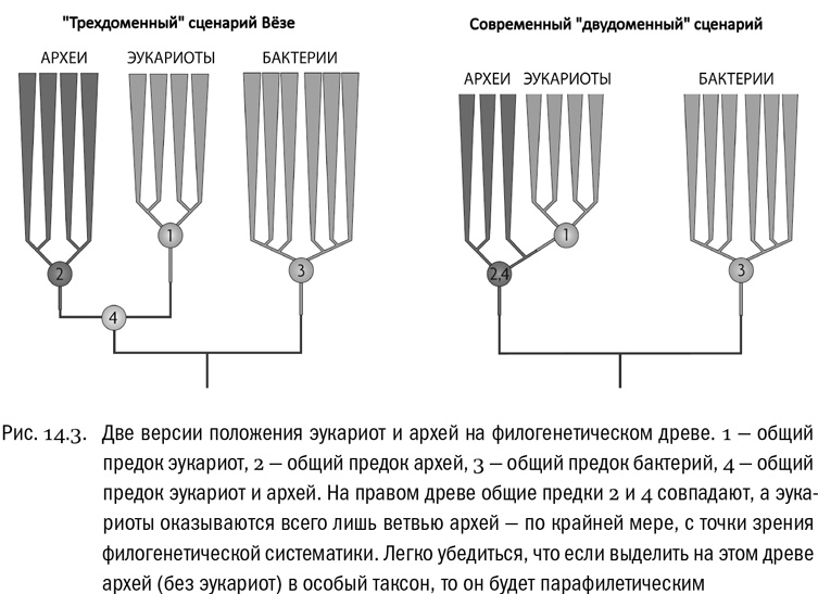Иллюстрация к книге — От атомов к древу. Введение в современную науку о жизни [img_81.jpg]