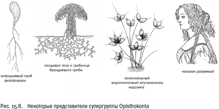 Иллюстрация к книге — От атомов к древу. Введение в современную науку о жизни [img_93.jpg]