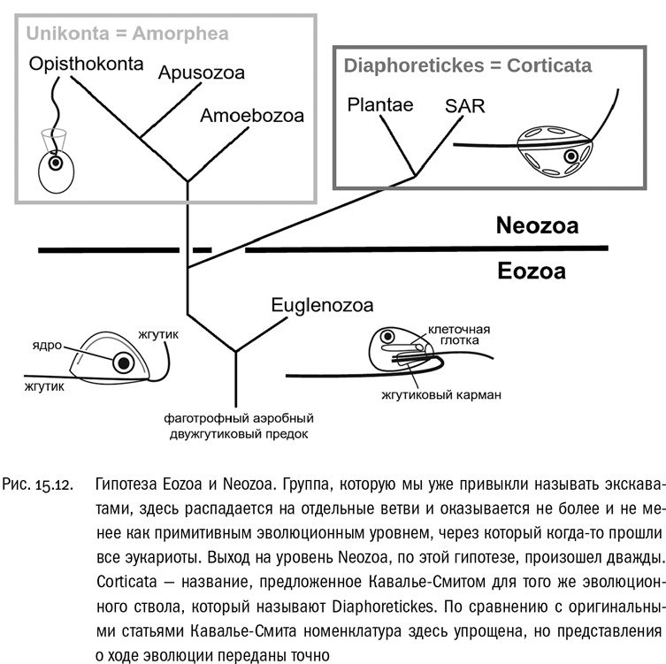 Иллюстрация к книге — От атомов к древу. Введение в современную науку о жизни [img_97.jpg]