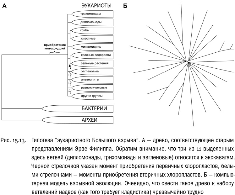 Иллюстрация к книге — От атомов к древу. Введение в современную науку о жизни [img_98.jpg]