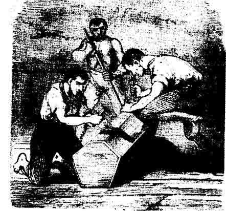 Иллюстрация к книге — История вампиров [i_004.jpg]