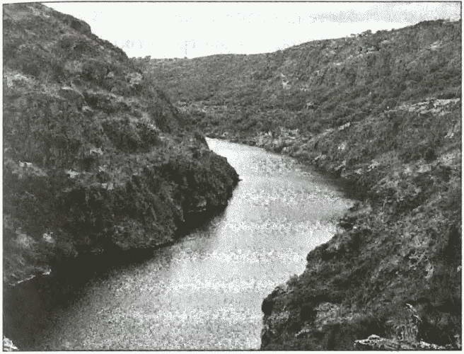 Иллюстрация к книге — Средневековая Испания [i_033.jpg]