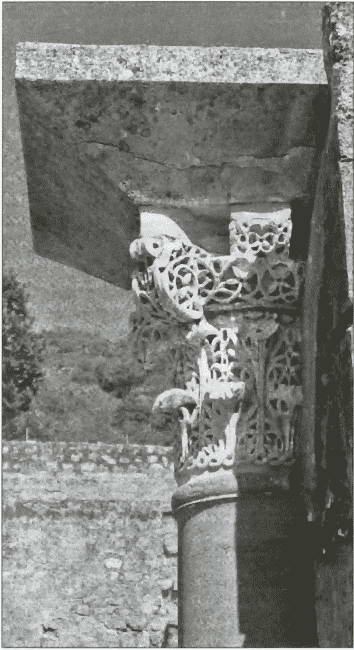 Иллюстрация к книге — Средневековая Испания [i_064.jpg]