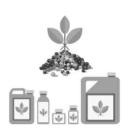 Иллюстрация к книге — Кето-диета. Революционная система питания, которая поможет похудеть и научит ваш организм превращать жиры в энергию [i_006.jpg]