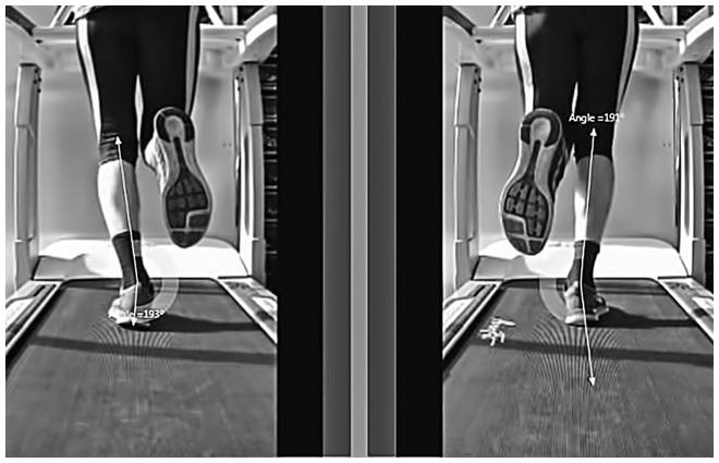 Иллюстрация к книге — Заряжен на 100%. Энергия. Здоровье. Спорт [i_006.jpg]