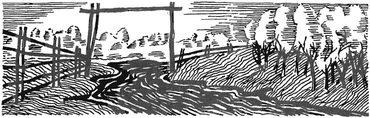 Иллюстрация к книге — Жизнь "Ивана" [i_003.jpg]