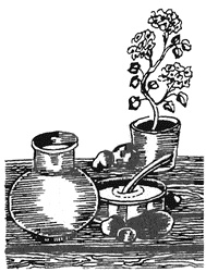 Иллюстрация к книге — Жизнь "Ивана" [i_016.jpg]