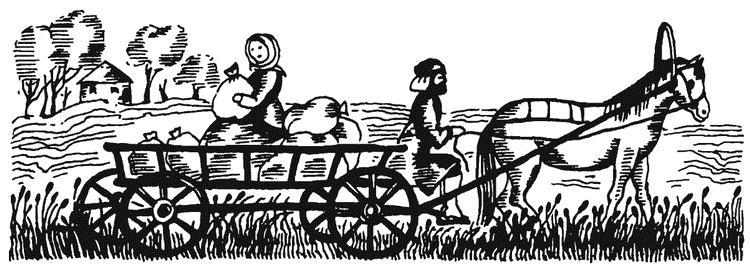 Иллюстрация к книге — Жизнь "Ивана" [i_041.jpg]