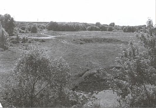 Иллюстрация к книге — Тайна гибели генерала Лизюкова [i_008.jpg]