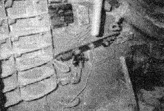 Иллюстрация к книге — Стальной кулак Сталина. История советского танка 1943-1955 [pic_22.jpg]