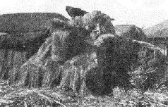 Иллюстрация к книге — Стальной кулак Сталина. История советского танка 1943-1955 [pic_278.jpg]