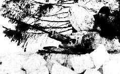 Иллюстрация к книге — Броневой щит Сталина. История советского танка 1937-1943 [pic_213.jpg]