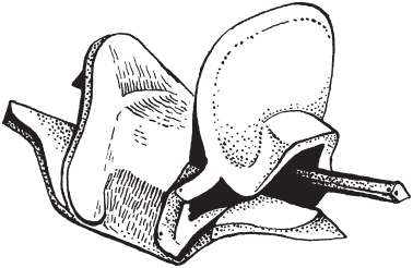 Иллюстрация к книге — Великие сражения Востока [_58.jpg]