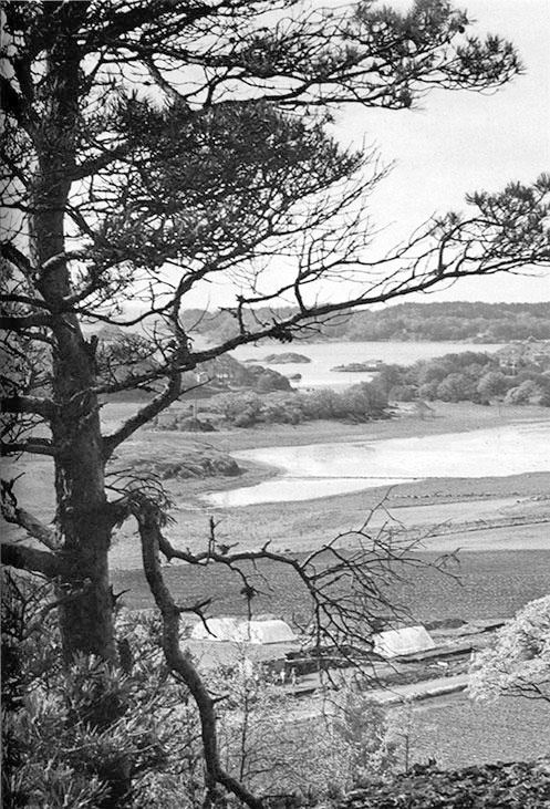 Иллюстрация к книге — Викинги – люди саги. Жизнь и нравы [i_013.jpg]