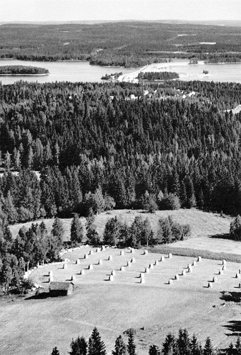 Иллюстрация к книге — Викинги – люди саги. Жизнь и нравы [i_017.jpg]