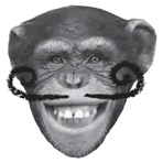 Иллюстрация к книге — Заставь его замолчать. Как победить внутреннего критика и начать действовать [i_020.jpg]