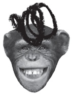 Иллюстрация к книге — Заставь его замолчать. Как победить внутреннего критика и начать действовать [i_025.jpg]