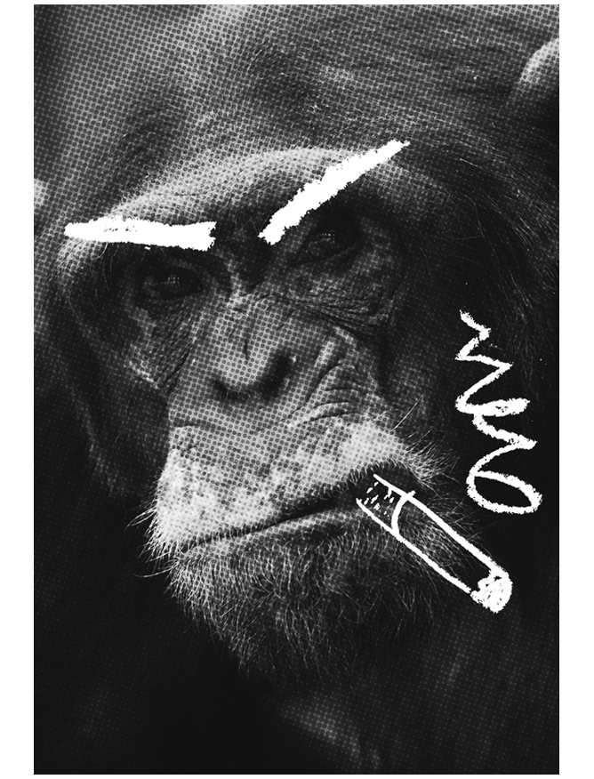 Иллюстрация к книге — Заставь его замолчать. Как победить внутреннего критика и начать действовать [i_066.jpg]