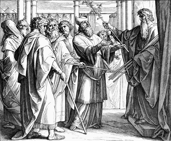 Иллюстрация к книге — По следам Ковчега Завета [any2fbimgloader19.jpg]