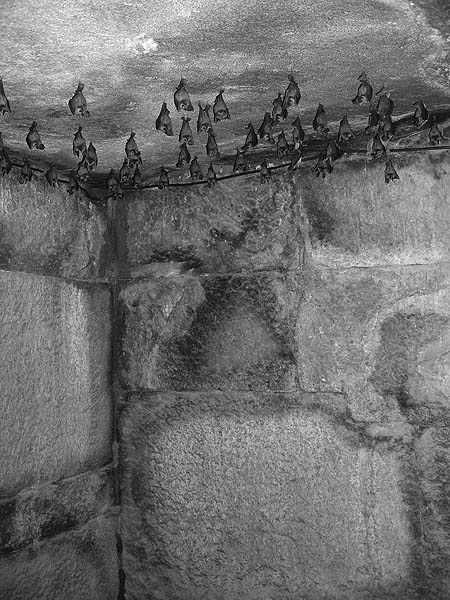 Иллюстрация к книге — По следам Ковчега Завета [any2fbimgloader75.jpg]