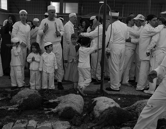 Иллюстрация к книге — По следам Ковчега Завета [any2fbimgloader84.jpg]