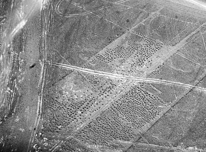 Иллюстрация к книге — Наска. Гигантские рисунки на полях [any2fbimgloader108.jpg]