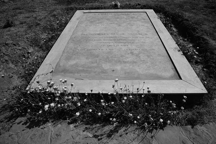 Иллюстрация к книге — Наска. Гигантские рисунки на полях [any2fbimgloader11.jpg]