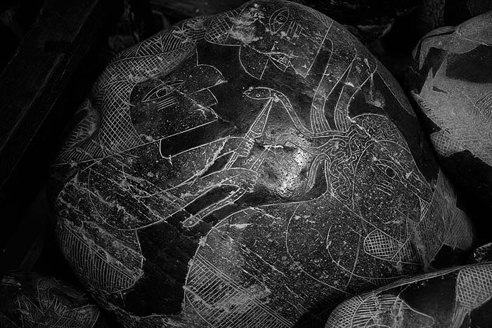 Иллюстрация к книге — Наска. Гигантские рисунки на полях [any2fbimgloader117.jpg]