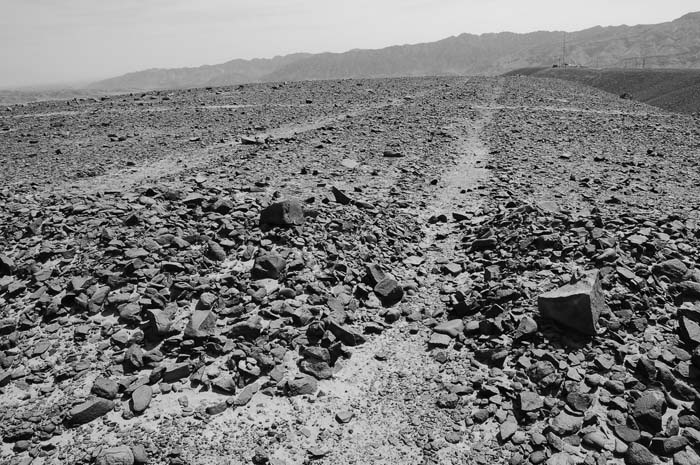 Иллюстрация к книге — Наска. Гигантские рисунки на полях [any2fbimgloader25.jpg]