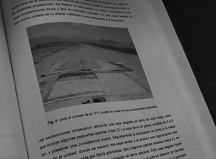 Иллюстрация к книге — Наска. Гигантские рисунки на полях [any2fbimgloader26.jpg]