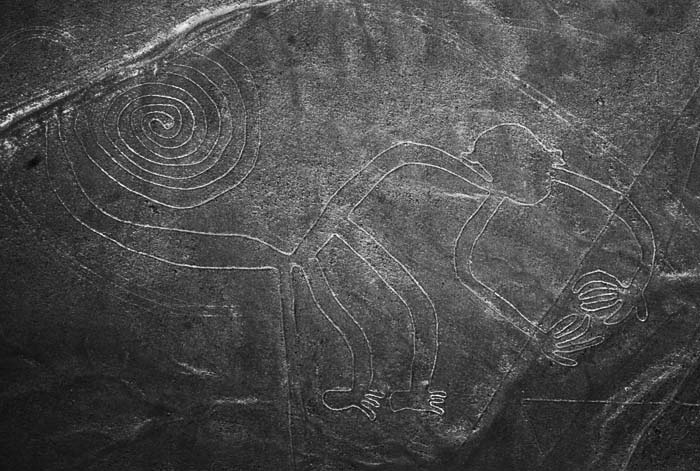 Иллюстрация к книге — Наска. Гигантские рисунки на полях [any2fbimgloader28.jpg]