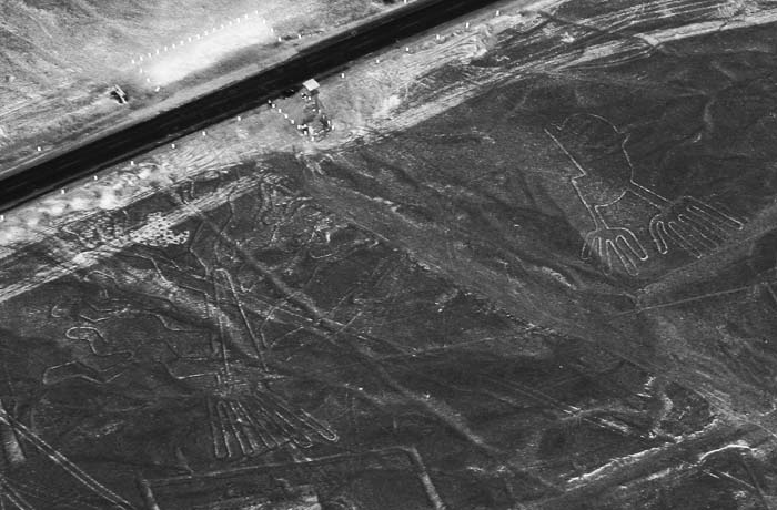 Иллюстрация к книге — Наска. Гигантские рисунки на полях [any2fbimgloader29.jpg]