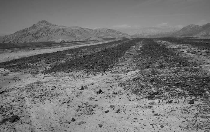 Иллюстрация к книге — Наска. Гигантские рисунки на полях [any2fbimgloader31.jpg]