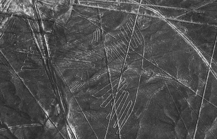 Иллюстрация к книге — Наска. Гигантские рисунки на полях [any2fbimgloader38.jpg]