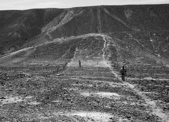 Иллюстрация к книге — Наска. Гигантские рисунки на полях [any2fbimgloader45.jpg]