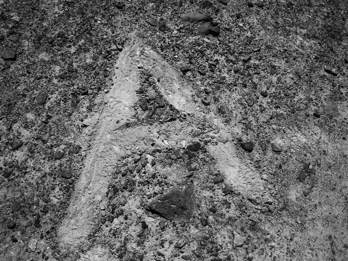 Иллюстрация к книге — Наска. Гигантские рисунки на полях [any2fbimgloader47.jpg]