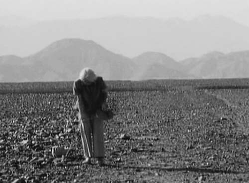 Иллюстрация к книге — Наска. Гигантские рисунки на полях [any2fbimgloader55.jpg]