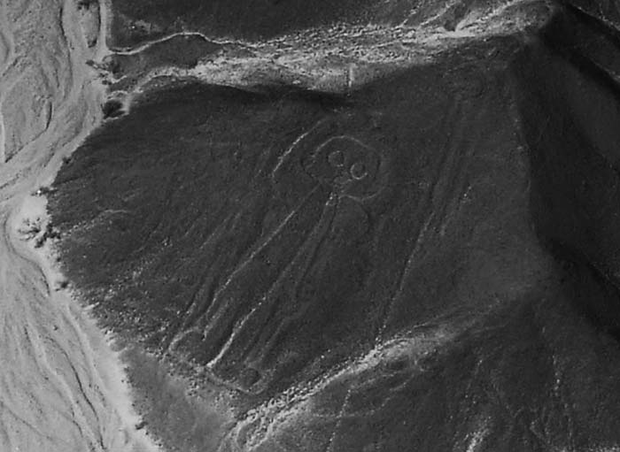 Иллюстрация к книге — Наска. Гигантские рисунки на полях [any2fbimgloader63.jpg]