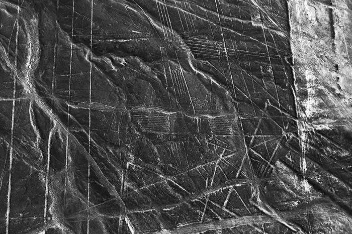 Иллюстрация к книге — Наска. Гигантские рисунки на полях [any2fbimgloader7.jpg]