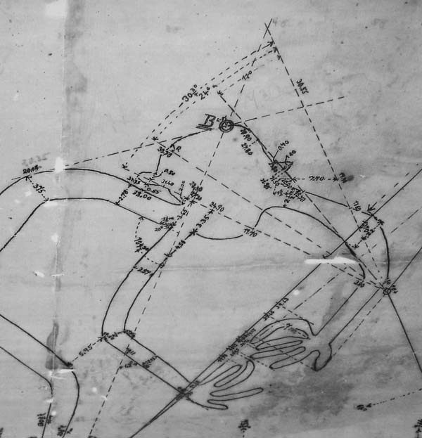 Иллюстрация к книге — Наска. Гигантские рисунки на полях [any2fbimgloader76.jpg]