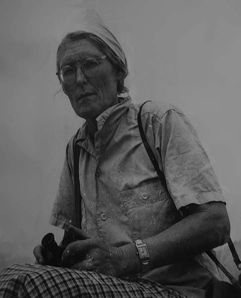 Иллюстрация к книге — Наска. Гигантские рисунки на полях [any2fbimgloader8.jpg]