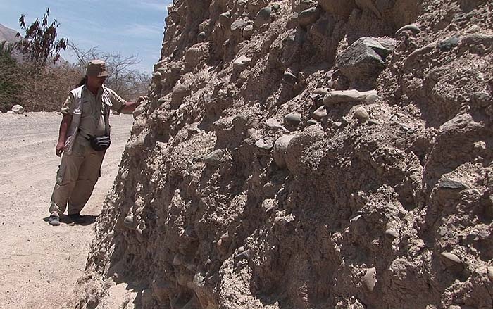 Иллюстрация к книге — Наска. Гигантские рисунки на полях [c08.jpg]