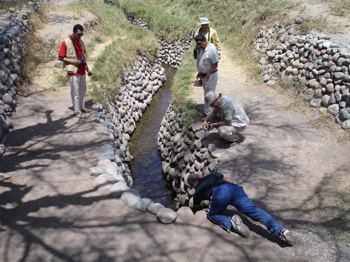 Иллюстрация к книге — Наска. Гигантские рисунки на полях [c19.jpg]