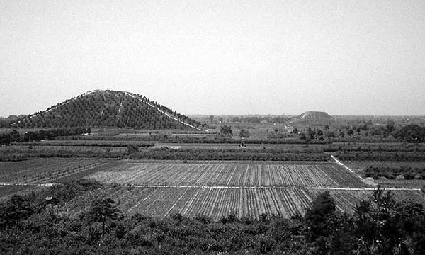 Иллюстрация к книге — Пирамиды. Загадки строительства и назначение [any2fbimgloader88.jpg]