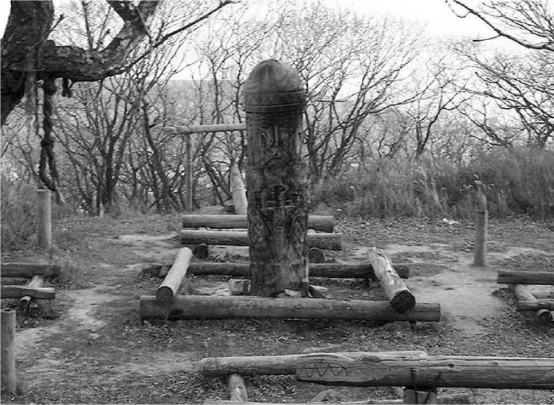 Иллюстрация к книге — Древние боги. Кто они? [i_001.jpg]