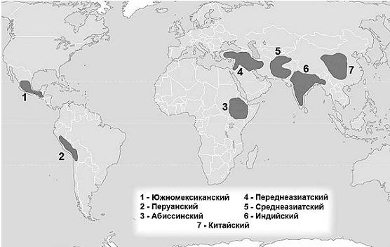 Иллюстрация к книге — Древние боги. Кто они? [i_096.jpg]