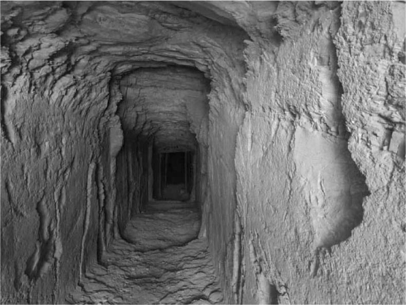 Иллюстрация к книге — Древние боги. Кто они? [i_106.jpg]