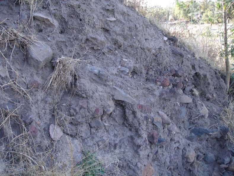 Иллюстрация к книге — Обитаемый остров Земля [i_031.jpg]